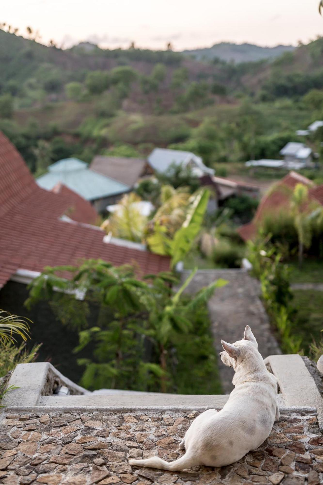 Drop In Surf Lodge Kuta  Buitenkant foto